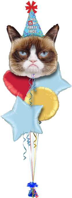 Grumpy Cat Party Face Birthday Balloon - Grumpy Cat Party Face (286x686), Png Download