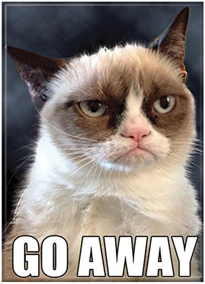 $0 - - Grumpy Cat - Go Away - Refrigerator Magnet (1024x1024), Png Download