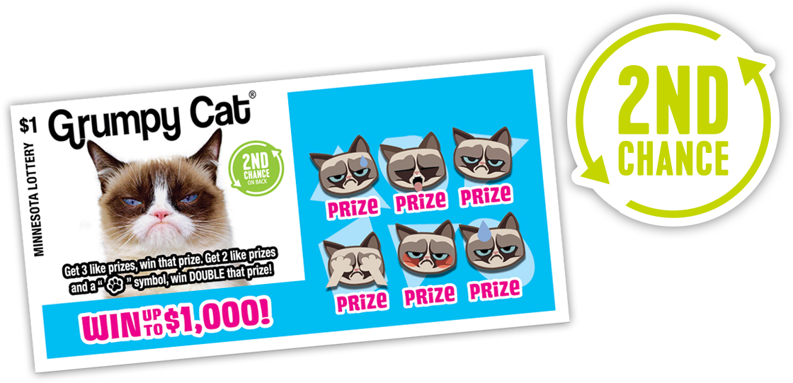 729 Grumpy Cat 2ndchance - Minnesota State Lottery (1140x640), Png Download