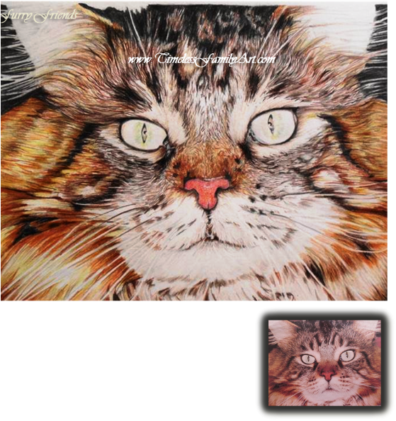Custom Pet Portraits & Paintings From Photos - Drawing (562x600), Png Download