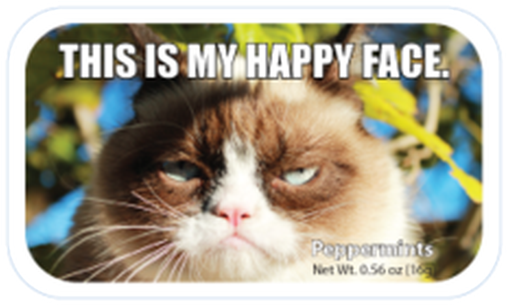 $2 - - First Day Of Summer Grumpy Cat (1024x627), Png Download