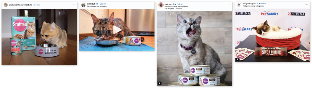 Catfluencers Sponsored Posts Cat Food - Cat (1024x301), Png Download