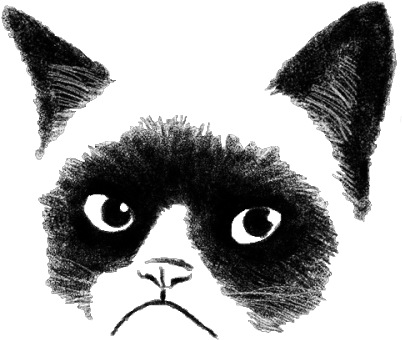 Transparent Grumpy Cat - Society6 By Tummeow (500x500), Png Download