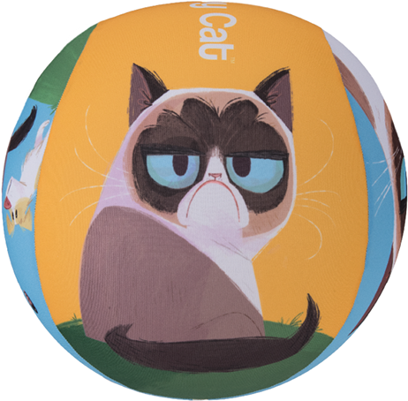 Owl (480x466), Png Download