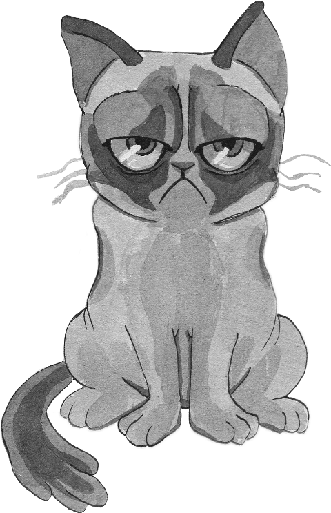 Grumpy Cat Png (480x743), Png Download