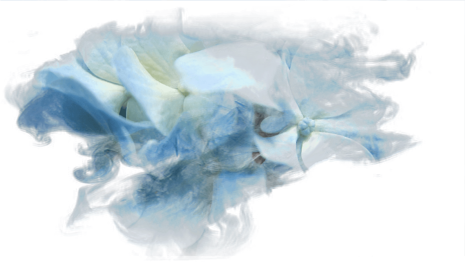 Watercolor Paint (1500x844), Png Download