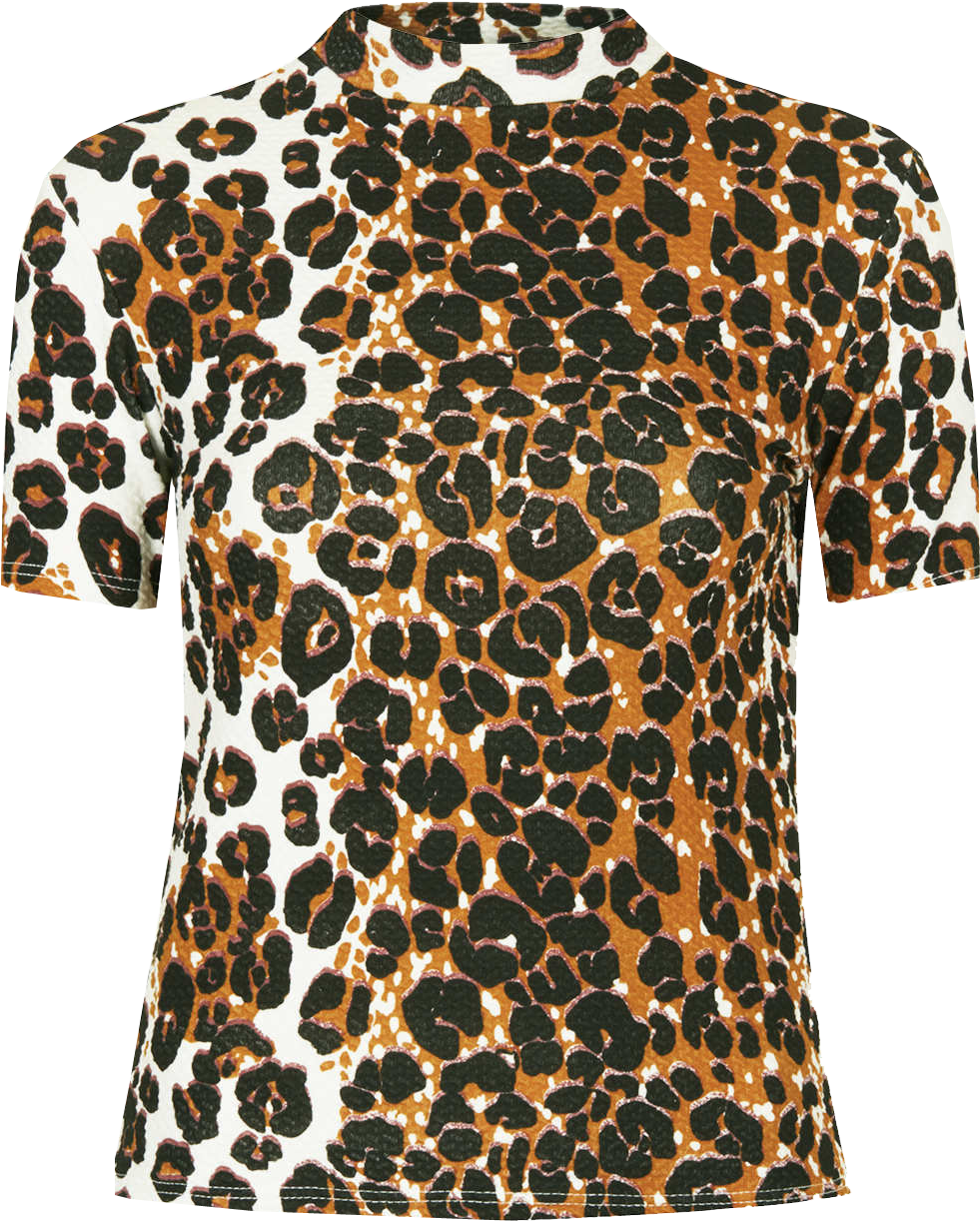 Cheetah Print Png Download - High Neck Leopard Print Top (1020x1338), Png Download