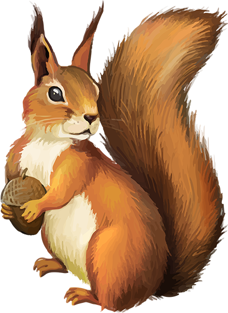 Tubes Écureuils - Funny Custom Ceramic Coffee Mugs Printed Squirrel Whisperer (450x618), Png Download