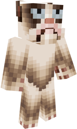 Tardpic Zpsbapng - Skin Minecraft Pe Kitty (640x640), Png Download