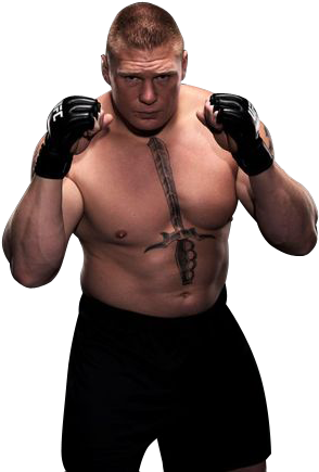 Brock Lesnar 9 , 93k - Brock Lesnar Mma Gloves (375x500), Png Download