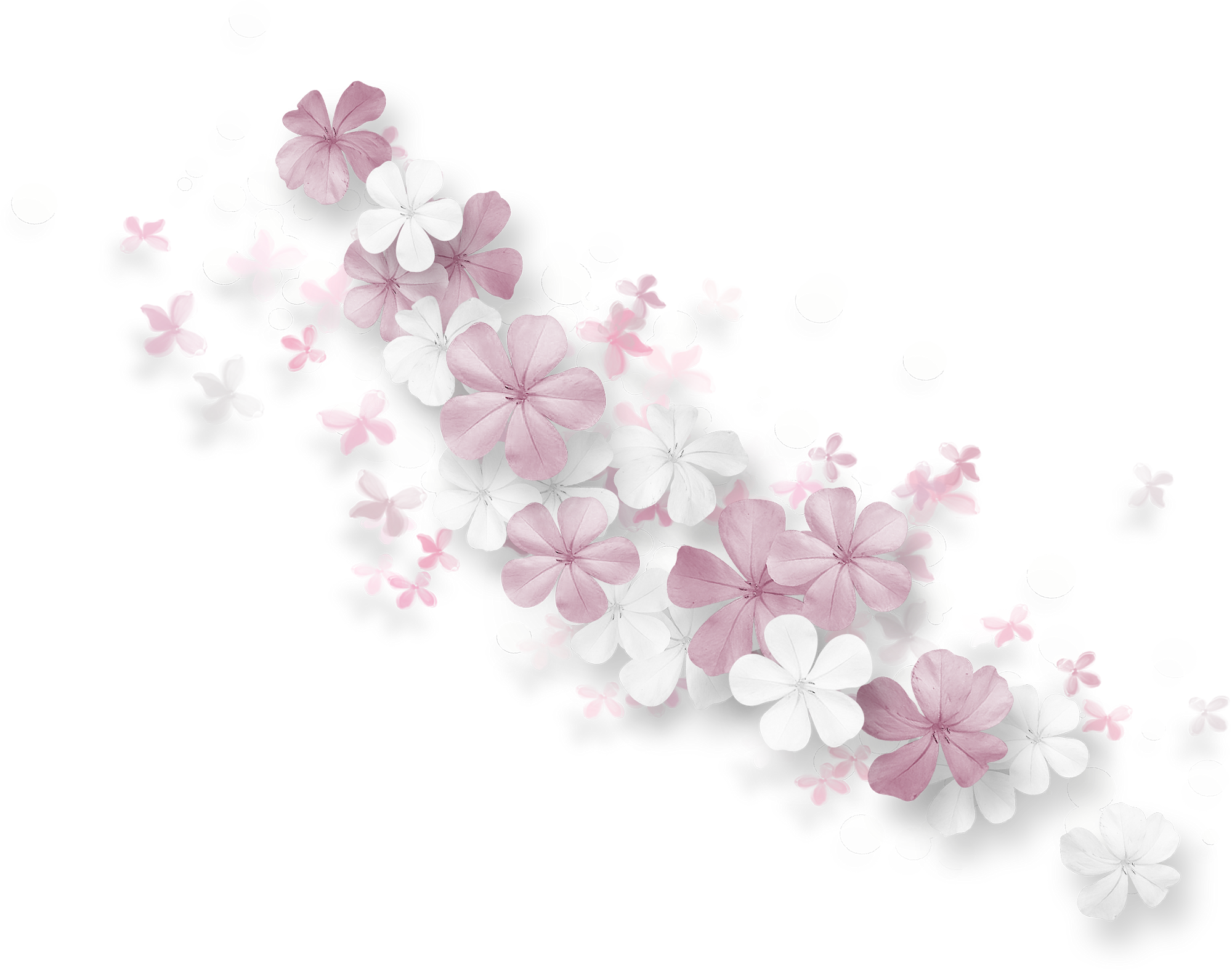Hsd Neptunes Garden Ele24 - Cherry Blossom (2000x1575), Png Download