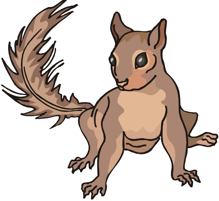 Free Squirrel Clipart - Clip Art (750x688), Png Download