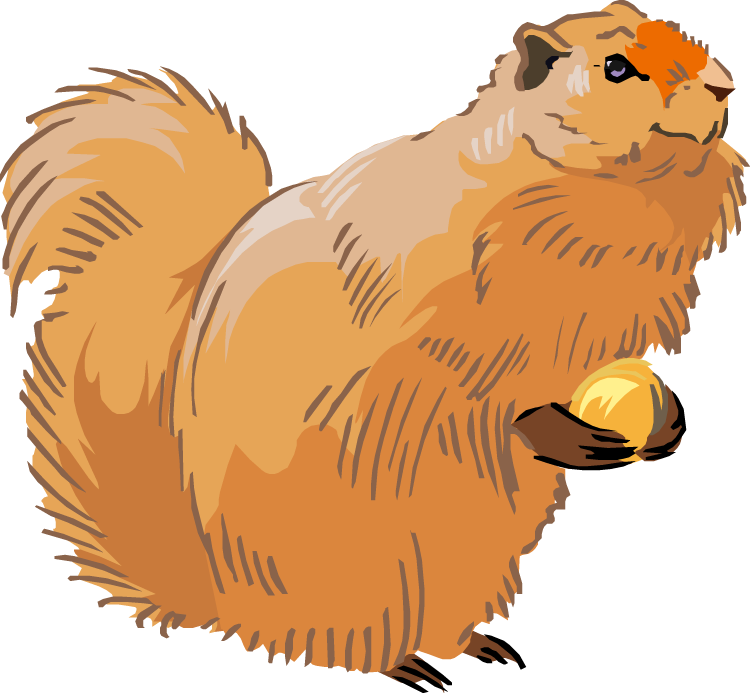 Free Squirrel Clipart - Clip Art (750x693), Png Download