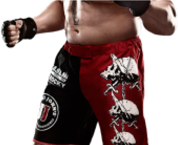 Brock Lesnar Png Transparent Images - Wwe Brock Lesnar Attire (640x480), Png Download