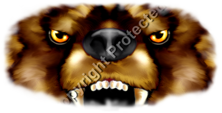 Bear Face - Lion (800x427), Png Download