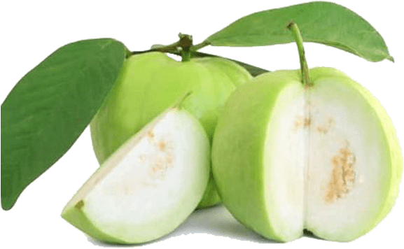 Fresh Guava From Thailand - Guava Transparent (600x600), Png Download