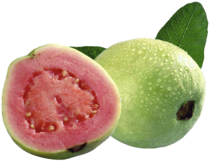 Png Download Fruit Transparent Guava - Imagenes De Guayaba Fruta (500x335), Png Download