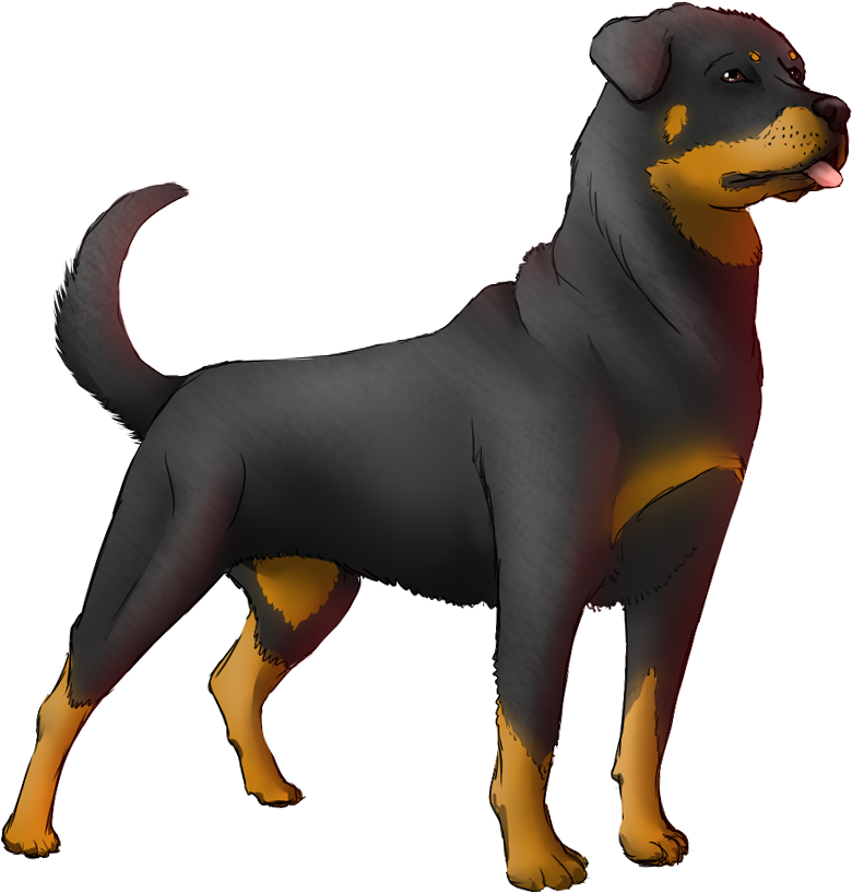 Rottweiler Animation By Aero Akatsuki-d51hjz6 - Rottweiler Animated Gif (839x816), Png Download