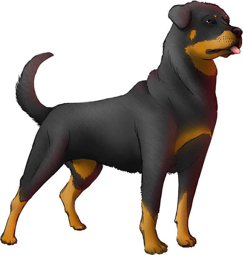 Download Rottweiler Animation By Aero Akatsuki-d51hjz6 - Rottweiler ...