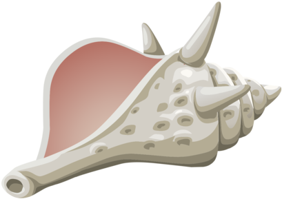 Computer Icons Conch Drawing Seashell - Clip Art (763x750), Png Download