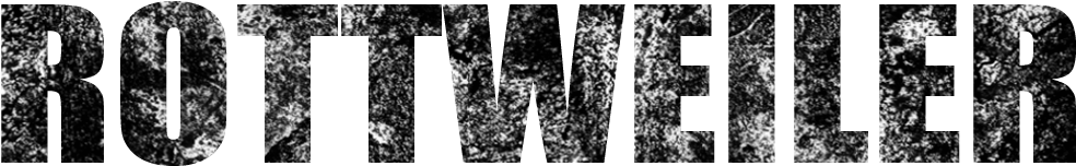 Rottweiler - Monochrome (1000x415), Png Download