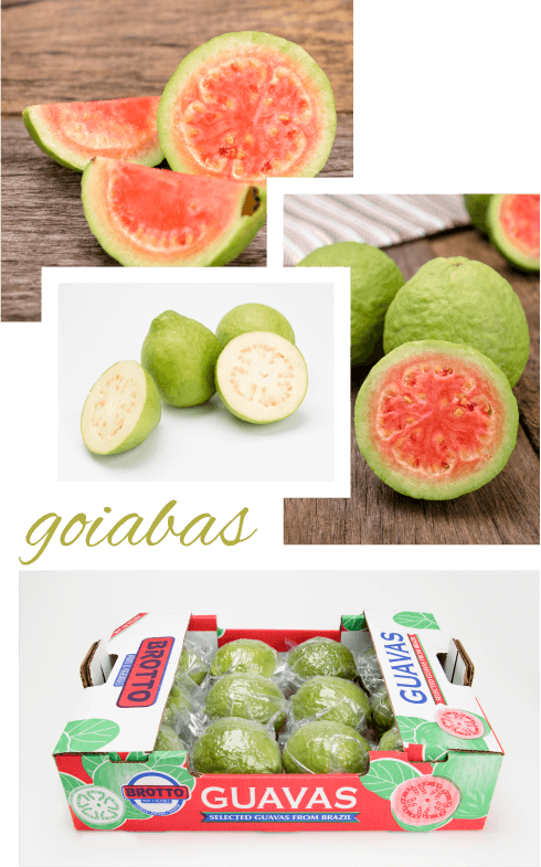 Guavas Have Green Skin And Small Seeds In Their Pulp, - Lori Brotto (490x785), Png Download