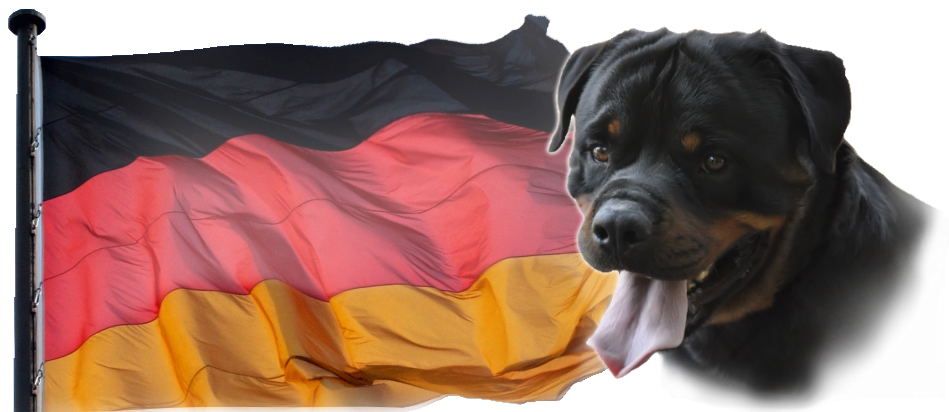 Maryland (960x413), Png Download