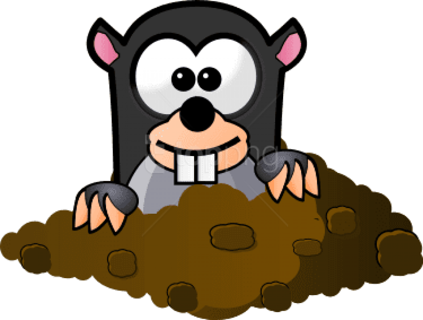 Picture Stock Mole Coming Out Of His Panda Free - Clipart Mole (600x451), Png Download