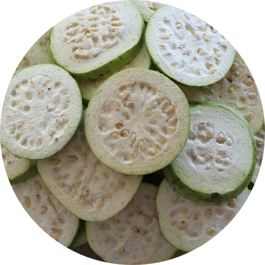 #aviannutrition #bigfootfoodie #birdfood #birdnutrition - Guava (532x532), Png Download