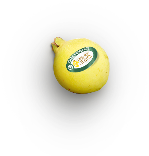 College Softball (1200x600), Png Download