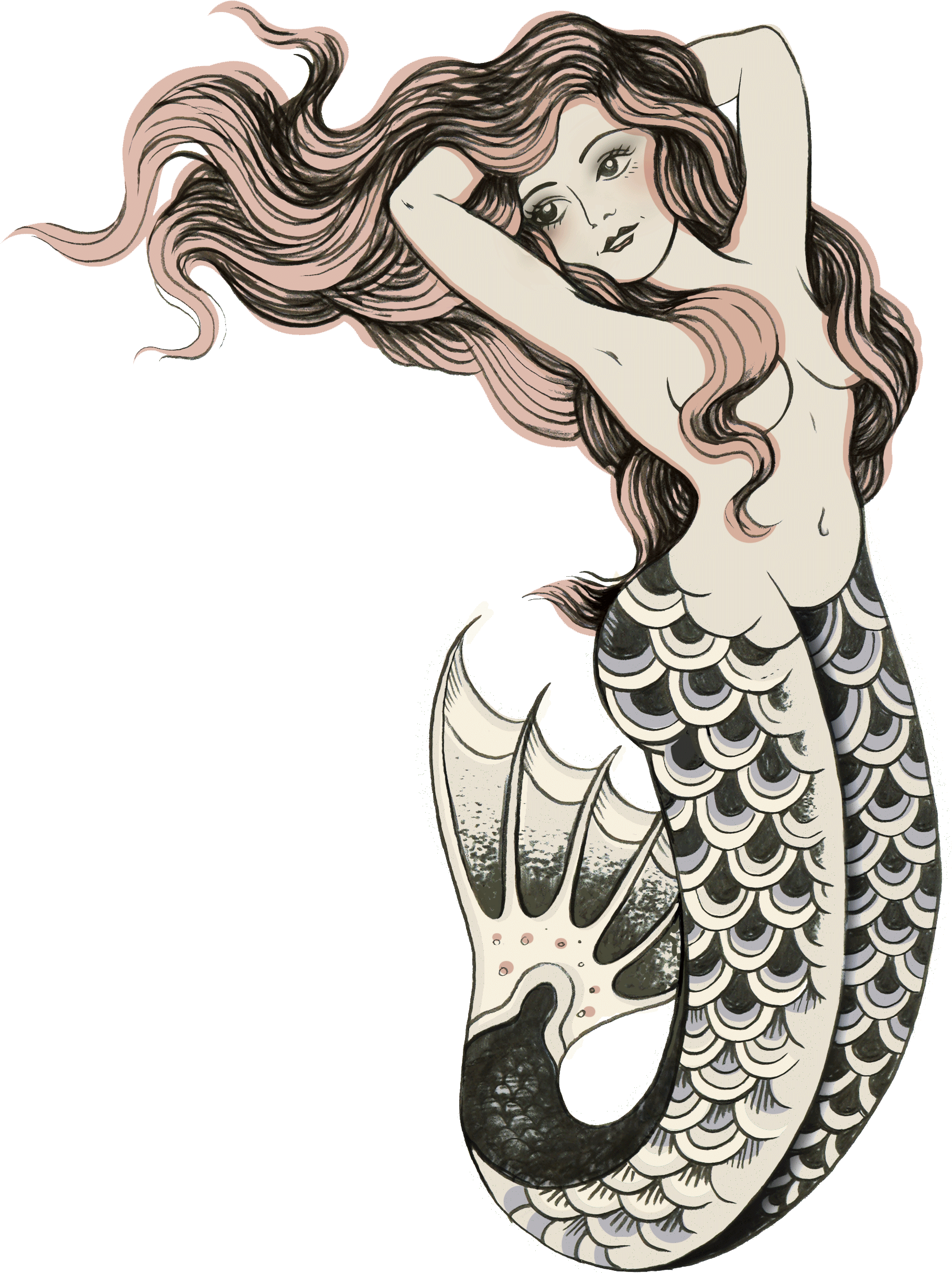 Picture Transparent Download Drawing Mermaid Siren - Sugar Island Spiced Rum - 750 Ml Bottle (1928x2552), Png Download