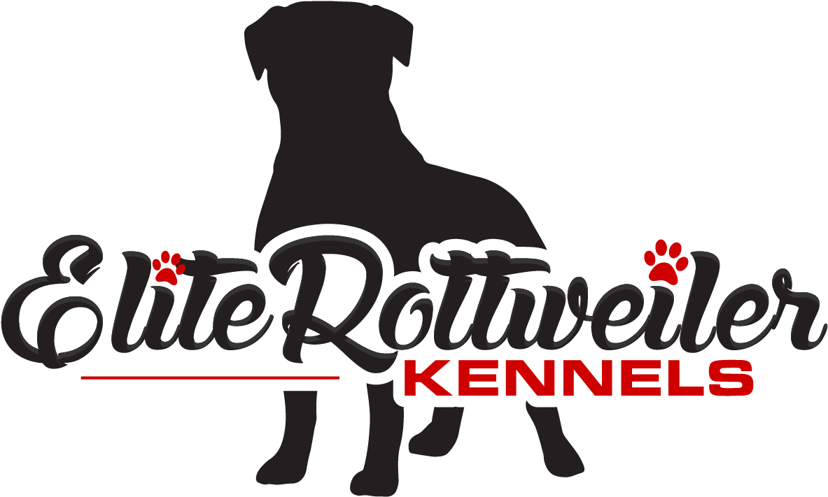 Elite Rottweiler Kennels - Boxer (1500x1500), Png Download