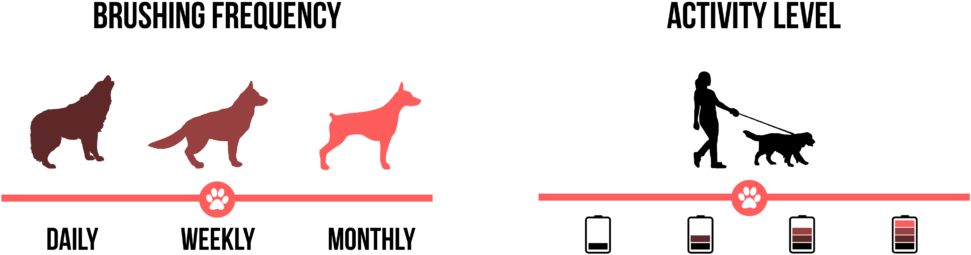 Rottweiler - Wolf Shape Vinyl Decal Outdoor Weatherproof Select (1024x300), Png Download