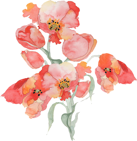 One X One Ll The Maze Runner - Red Flower Paint Png (500x507), Png Download