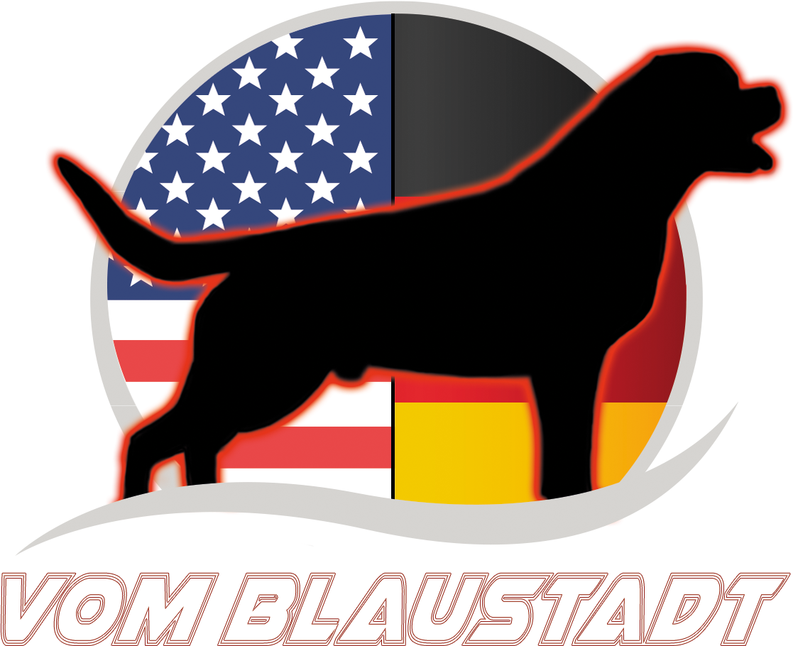 Vom Blaustadt Logo - Dog Catches Something (1205x992), Png Download