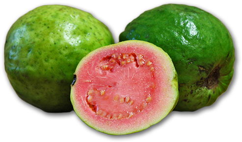 Guava - Product (500x500), Png Download