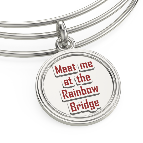 Rainbow Bridge Necklace - Locket (600x600), Png Download
