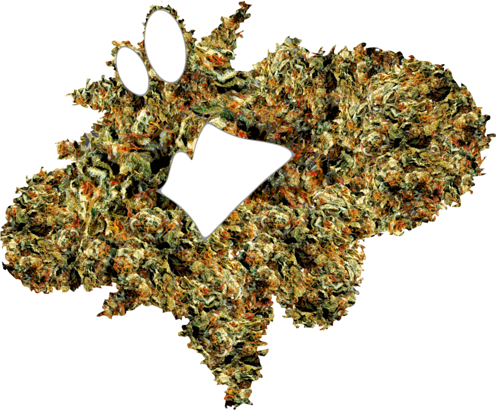 Download Graffiti Heart Png PNG Image with No Background - PNGkey.com