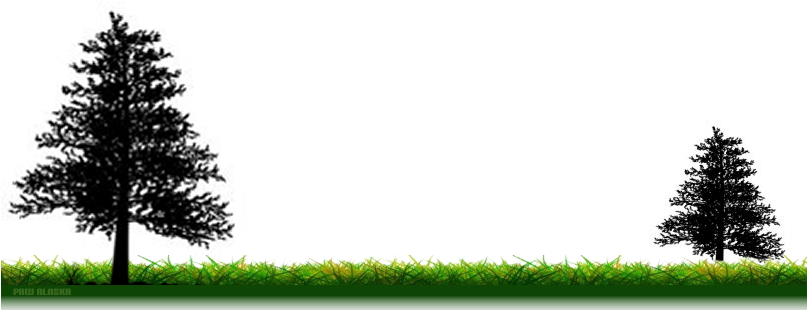 Approved - Alaska (806x400), Png Download
