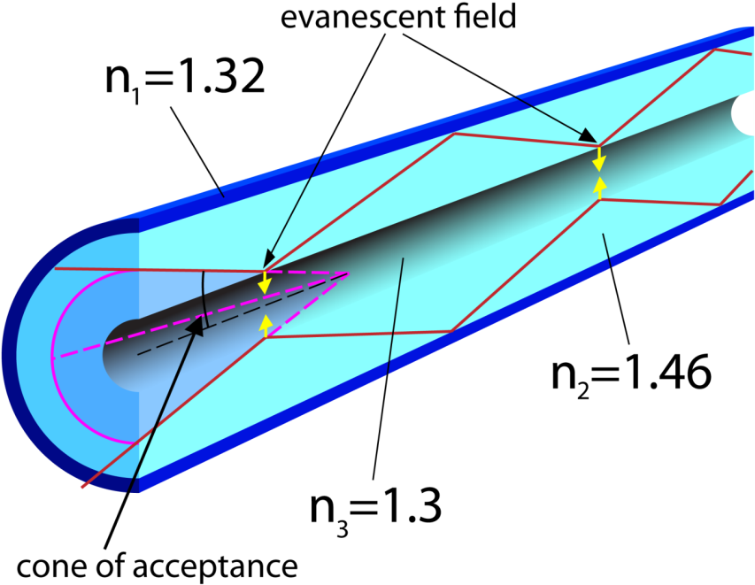 Figure 22 - - Fiber Optic Evanescent Wave Mode (866x664), Png Download