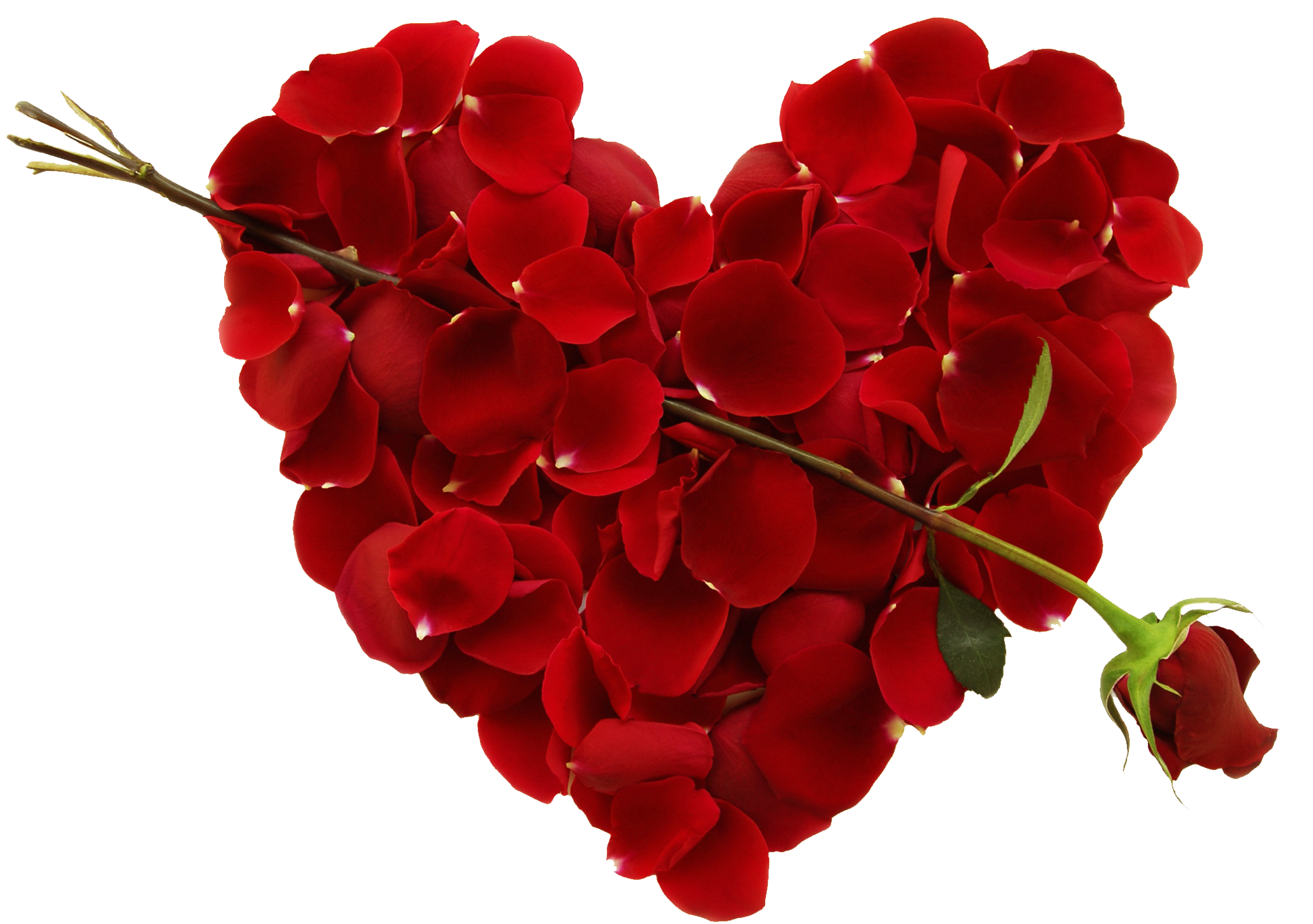 Heart Png Image Free Download Searchpng - Full Hearts Series Boxed Set #2 Ebook (2048x2048), Png Download