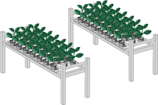 Cultivation Cannabis Grow Tables - Cannabis (700x530), Png Download