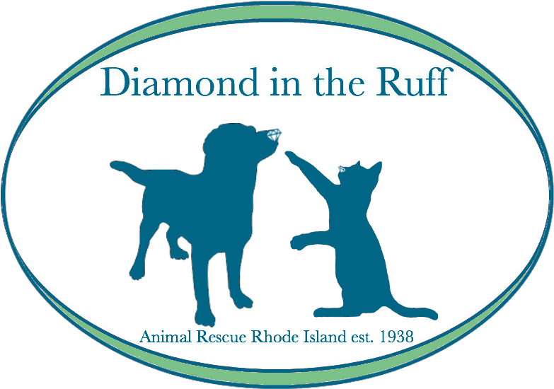 We Would Like To Give A Huge Thank You To All Who Supported - Dog Silhouette (800x600), Png Download