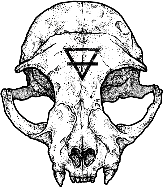 Cat Skull Ii (640x640), Png Download