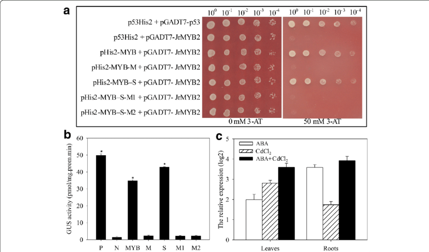 Analysis Of The Up Steam Regulators Of Jrvhag1 - Diagram (850x500), Png Download