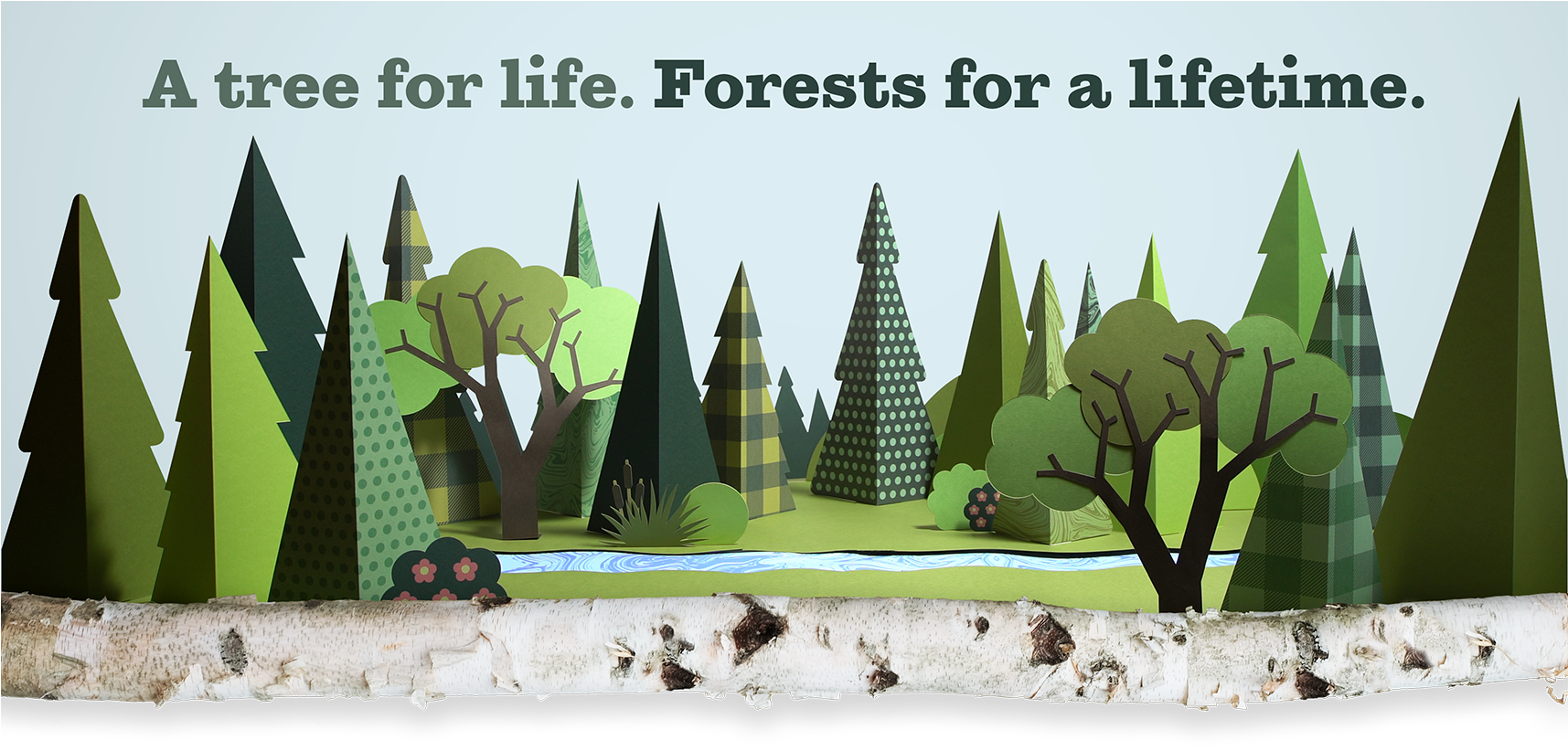 Michigan's Forest Resources - Christmas Tree (1714x864), Png Download