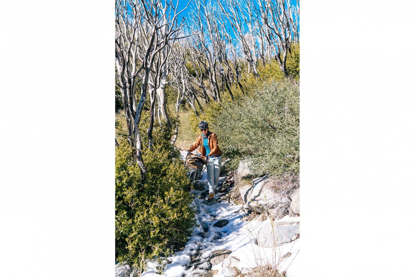 Starting Out In Snow With A Thousand Feet Of Elevation - Birch (1335x890), Png Download