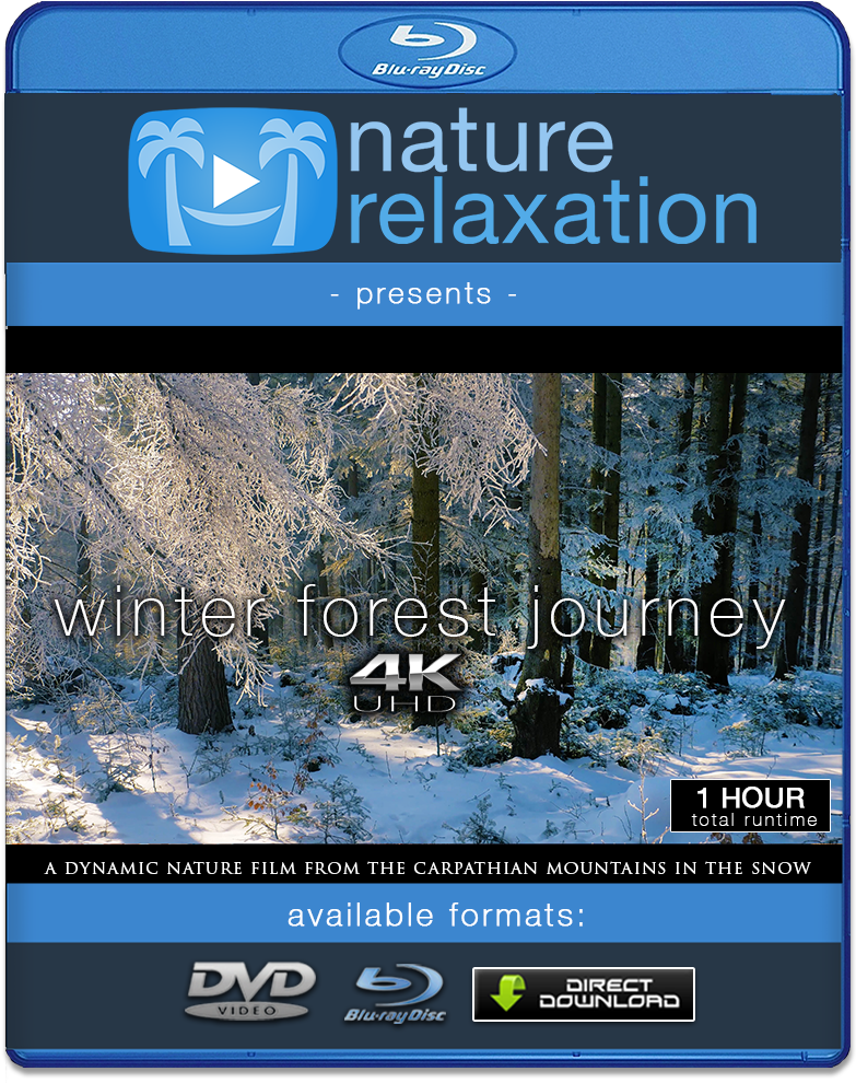 "winter Forest Journey" 4k Dynamic 1-hour Nature Relaxation - 4k Resolution (1000x1000), Png Download