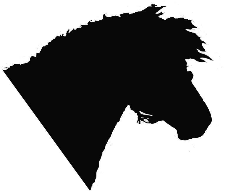 Bed Is Involved In Monitoring And Support Activities - Drawing (788x788), Png Download