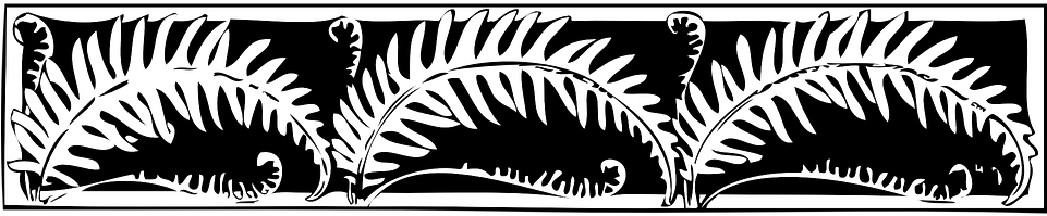 Fern Clipart Border (960x480), Png Download
